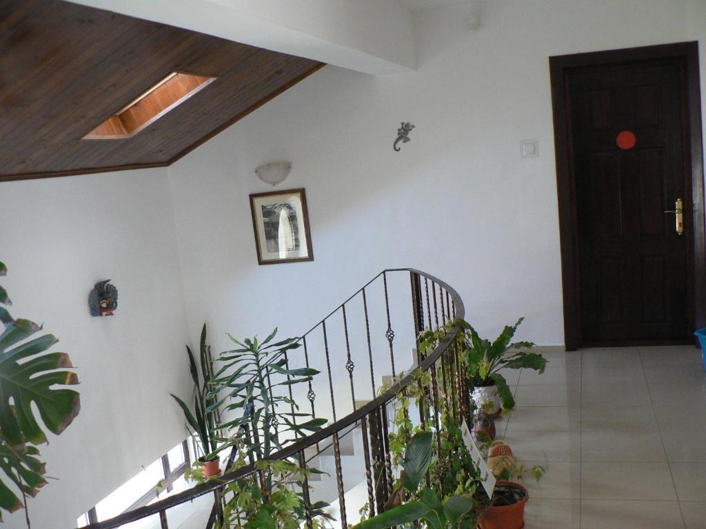 Casa Havana (Adults Only) Costinesti Luaran gambar