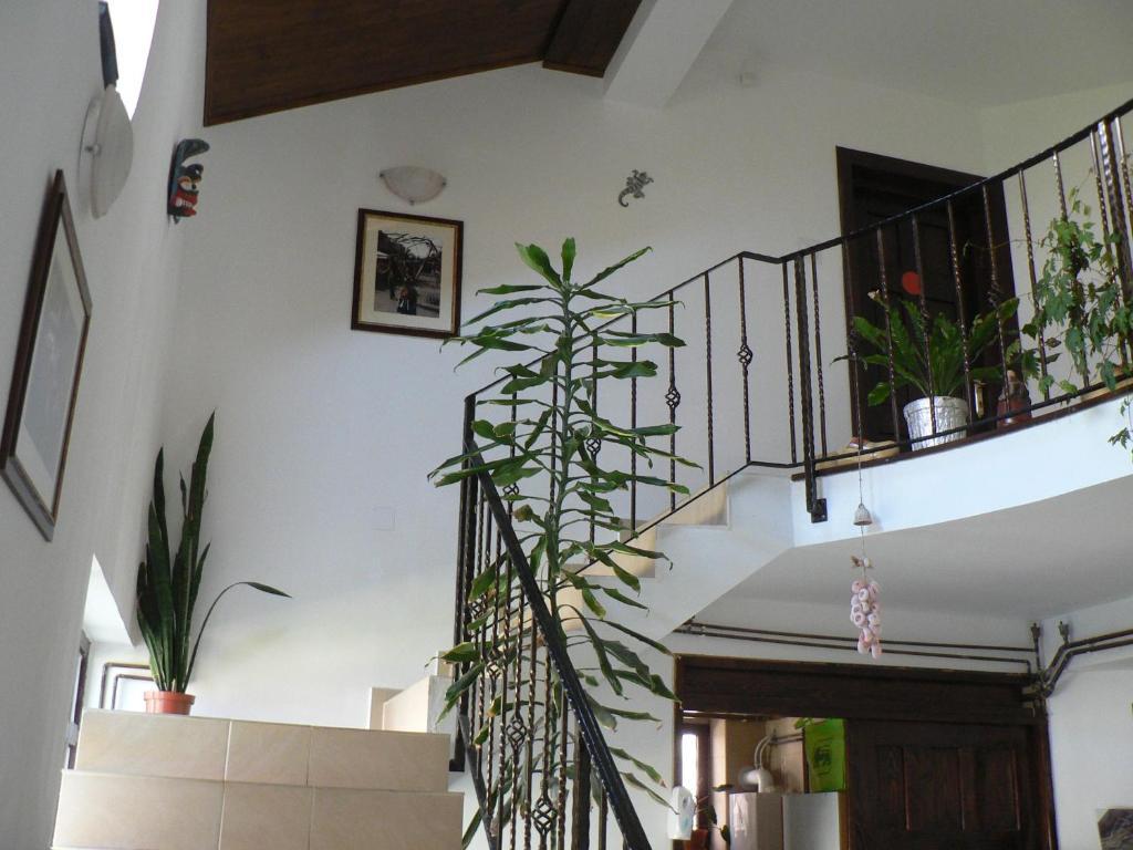 Casa Havana (Adults Only) Costinesti Luaran gambar